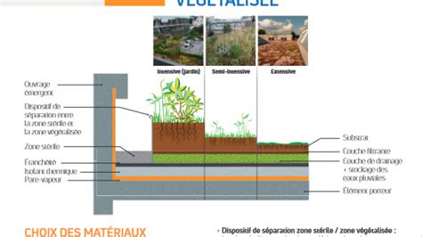 Diagramme illustrant l'effet rafraîchissant d'une surface végétalisée par rapport à une surface minérale