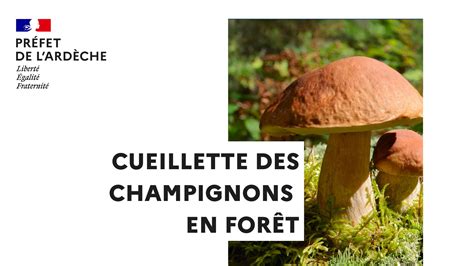 Affichette sur la réglementation de la cueillette des champignons en forêt