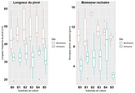Graphique montrant l'évolution de la croissance racinaire en fonction du travail du sol