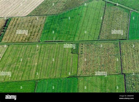 Vue aérienne de la carte Felsbrunn montrant les parcelles agricoles