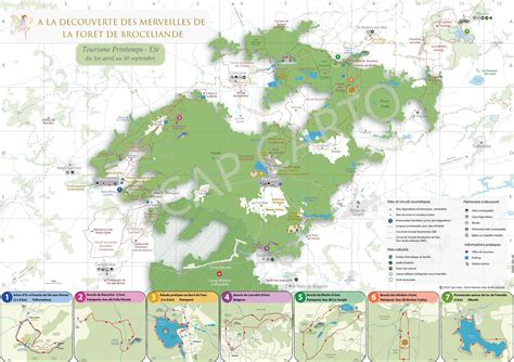 Carte stylisée de la forêt de BoisJoli montrant les différents points de recherche de la famille Écureuil
