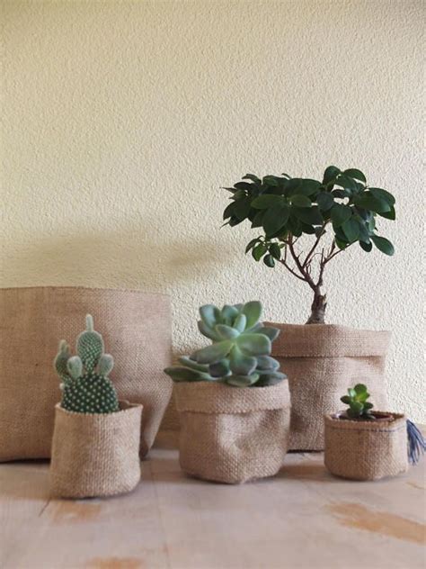 une succulente élégante dans un pot en toile de jute posée sur une étagère en bois