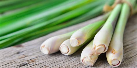 Cuisine asiatique utilisant de la citronnelle fraîche