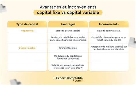 Infographie expliquant la différence entre capital social fixe et variable