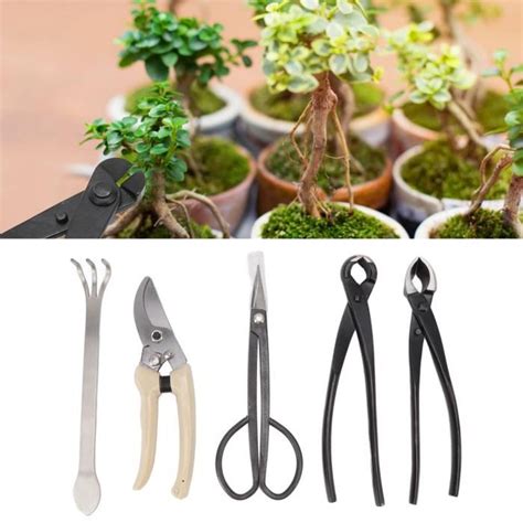 Ensemble d'outils pour le rempotage de bonsaï : griffe, ciseaux à racines, baguette, fil de fixation