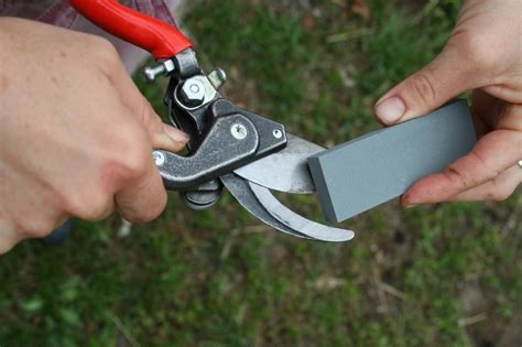 Nettoyage et affûtage d'un sécateur