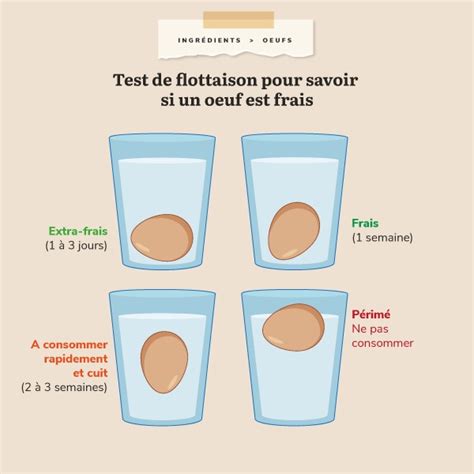 Schéma explicatif du processus de test de flottaison des glands et de leur conservation humide