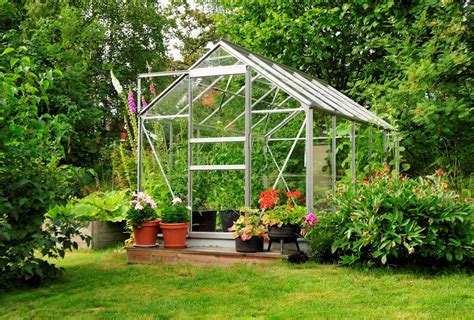 Serre de jardin avec différentes plantes