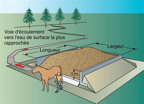 Système de gestion du fumier chargé de sable