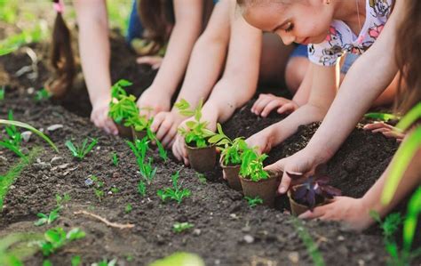 Enfants apprenant les mots du jardinage en classe