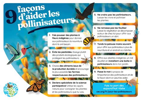 Infographie sur les horaires d'application respectueux des pollinisateurs