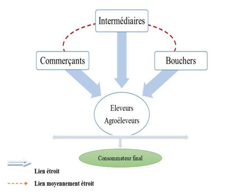 Schéma simplifié du circuit de commercialisation des semences et des exemptions pour le domaine public