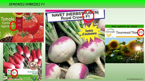 Infographie comparant les caractéristiques des semences hybrides F1, des variétés paysannes et des semences OGM