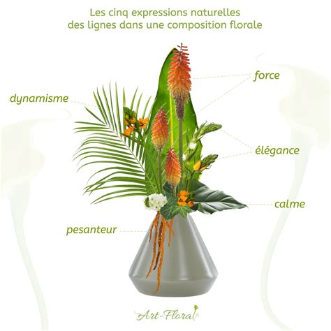 Schéma d'association florale pour potée estivale