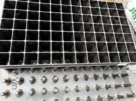 Différents types de contenants pour les semis : godets, plaques alvéolées, caissettes