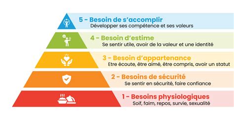 Schéma explicatif illustrant les besoins en lumière et les zones de croissance idéales pour un Zelkova de 5 ans