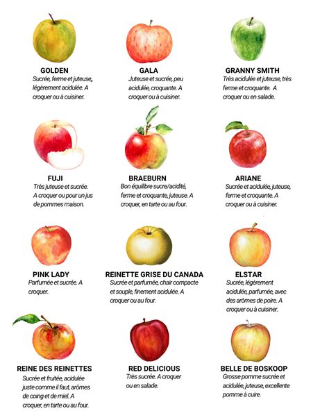 Diversité des variétés de pommes