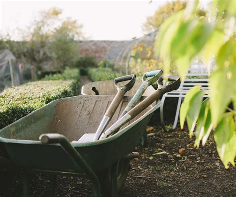 une brouette de jardin classique dans un cadre verdoyant