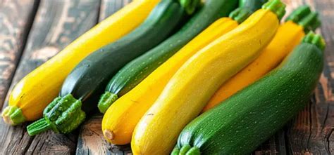Photographie de courgettes de différentes tailles et couleurs prêtes à être récoltées