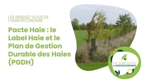 Schéma de gestion durable d'une haie bocagère