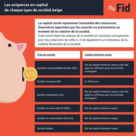 Infographie sur la structure du capital social et ses implications