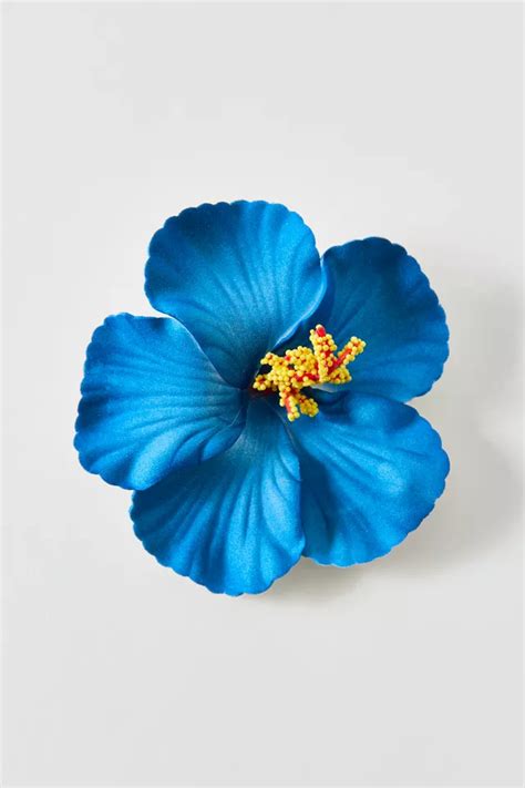 Broche fleur d'hibiscus multicolore