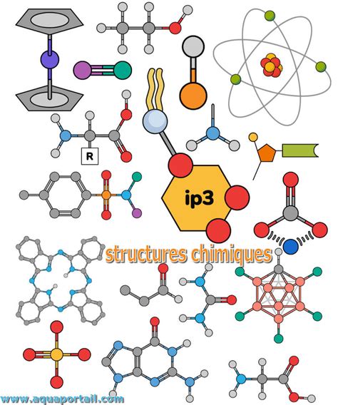 Diagramme de la composition chimique d'une ortie
