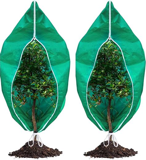 Illustration montrant l'hivernage des plantes en pot avec une protection en jute