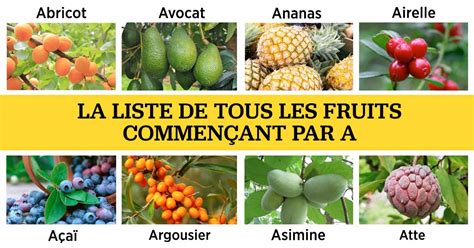Fruit en tire-bouchon de l'Érodium