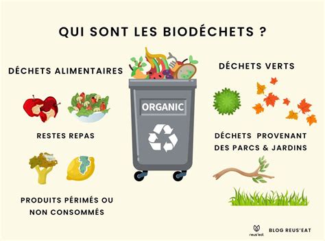 Infographie illustrant les avantages environnementaux du tri des biodéchets