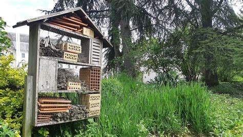 Jardin favorisant la biodiversité avec hôtels à insectes et nichoirs
