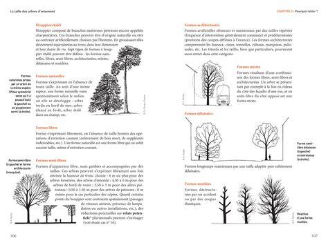 Exemples de formes d'arbres d'ornement après taille de formation