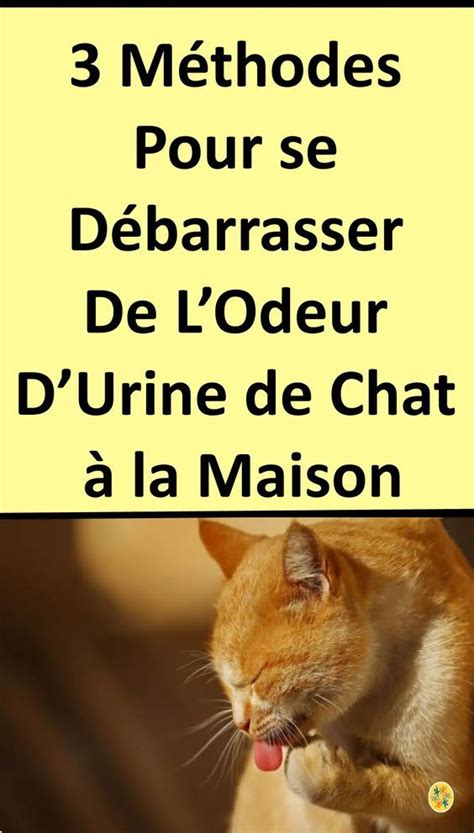 Molécules responsables de l'odeur d'urine de chat