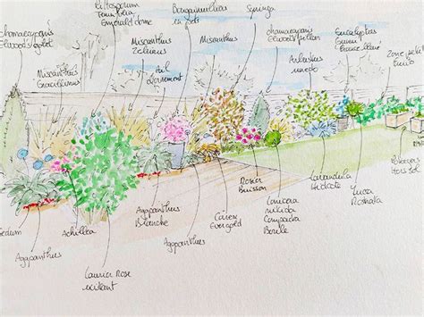 Exemple de croquis de plantation avec nouvelles idées
