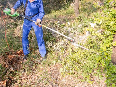 Importance du débroussaillage pour la prévention des incendies et l'aménagement