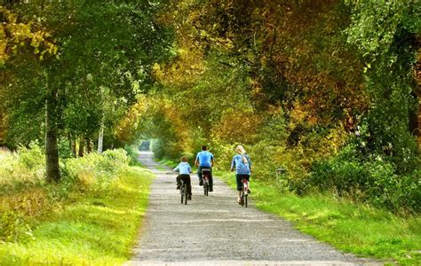 Une famille à vélo sur un chemin de campagne bordé de champs