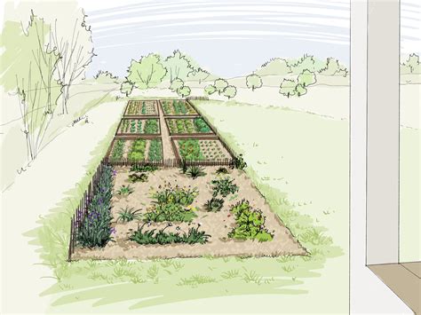 Illustration d'un jardin potager en août avec différentes récoltes
