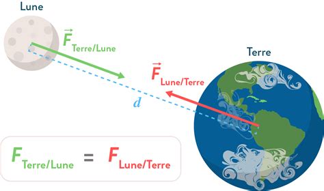 Schéma explicatif des forces gravitationnelles de la Lune et du Soleil sur les océans terrestres