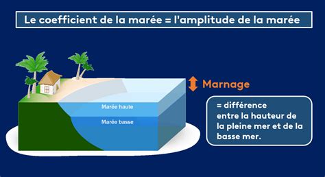 Carte mondiale mettant en évidence les zones de marnage élevé et faible