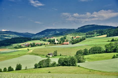 Paysage rural de Neuillé-le-Lierre