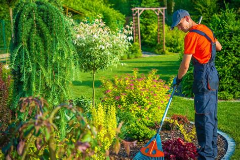 Paysage arboré et entretien professionnel des jardins
