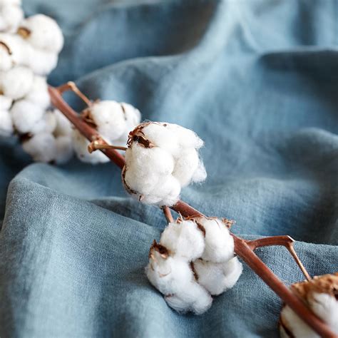 Gros plan sur la texture d'un tissu en coton lavé avec des motifs botaniques délicats