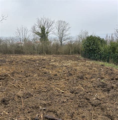 Photo avant/après de la parcelle défrichée