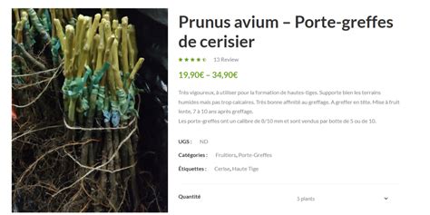 Schéma illustrant l'influence du porte-greffe sur la vigueur et la mise à fruit de l'abricotier