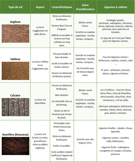 Types de sols et leurs caractéristiques
