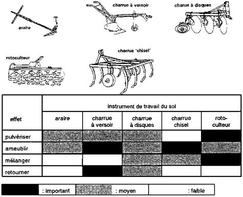 Diversité des outils de jardinage pour le travail du sol
