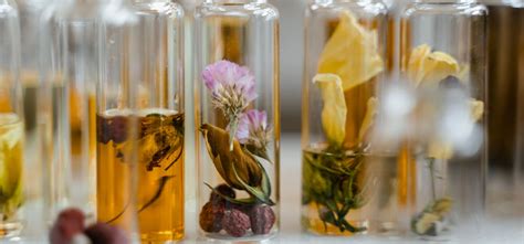 Ingrédients principaux du parfum