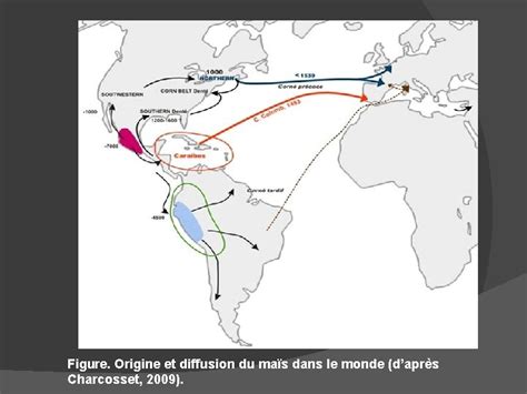carte des routes de diffusion du maïs à travers le monde après 1492