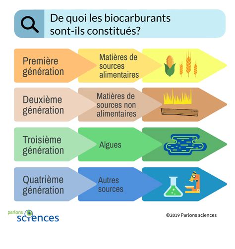 infographie sur les usages modernes du maïs (alimentation, biocarburants, etc.)