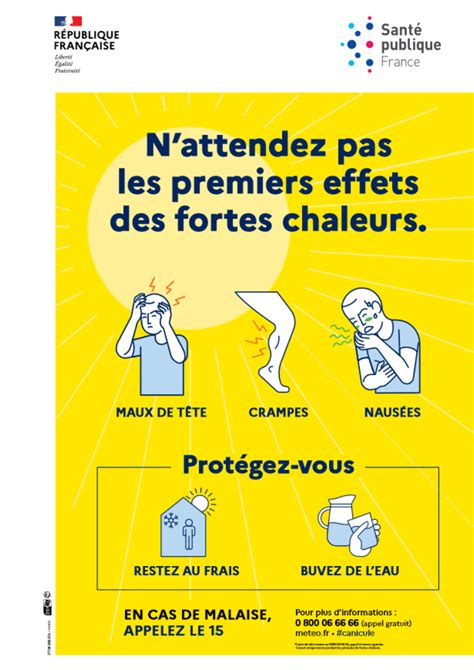 Illustration montrant les signes de santé d'une succulente